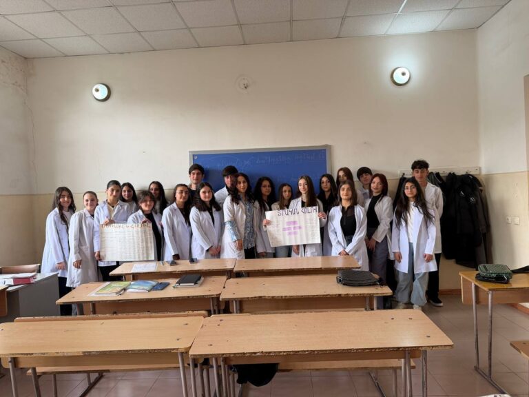 «Բառերի փոփոխվող աշխարհը․ հայերենի հոլովներ» թեմայով գործնական աշխատանք «Հայոց լեզու և գրականություն» առարկայից